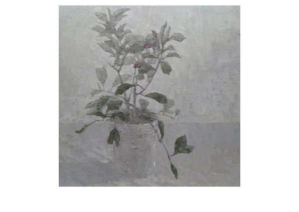 Eric Elliott | Spathiphyllum
