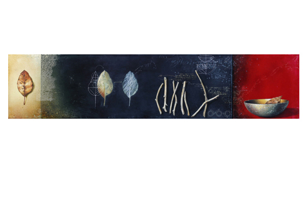 Lynda Lowe | Shape Shift 