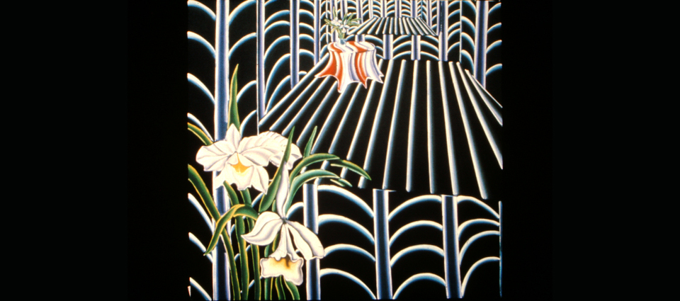 Orchids with the Mirror